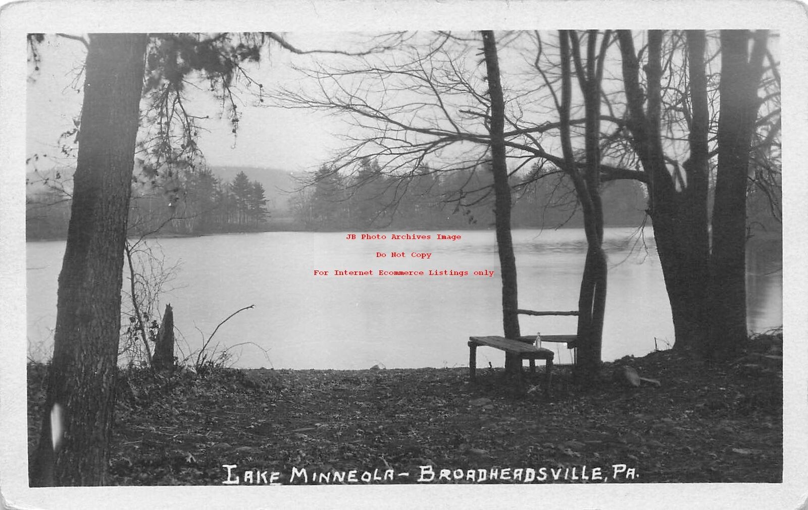 PA, Broadheadsville, Pennsylvania, RPPC, Lake Minneola, Shore Line View, Photo