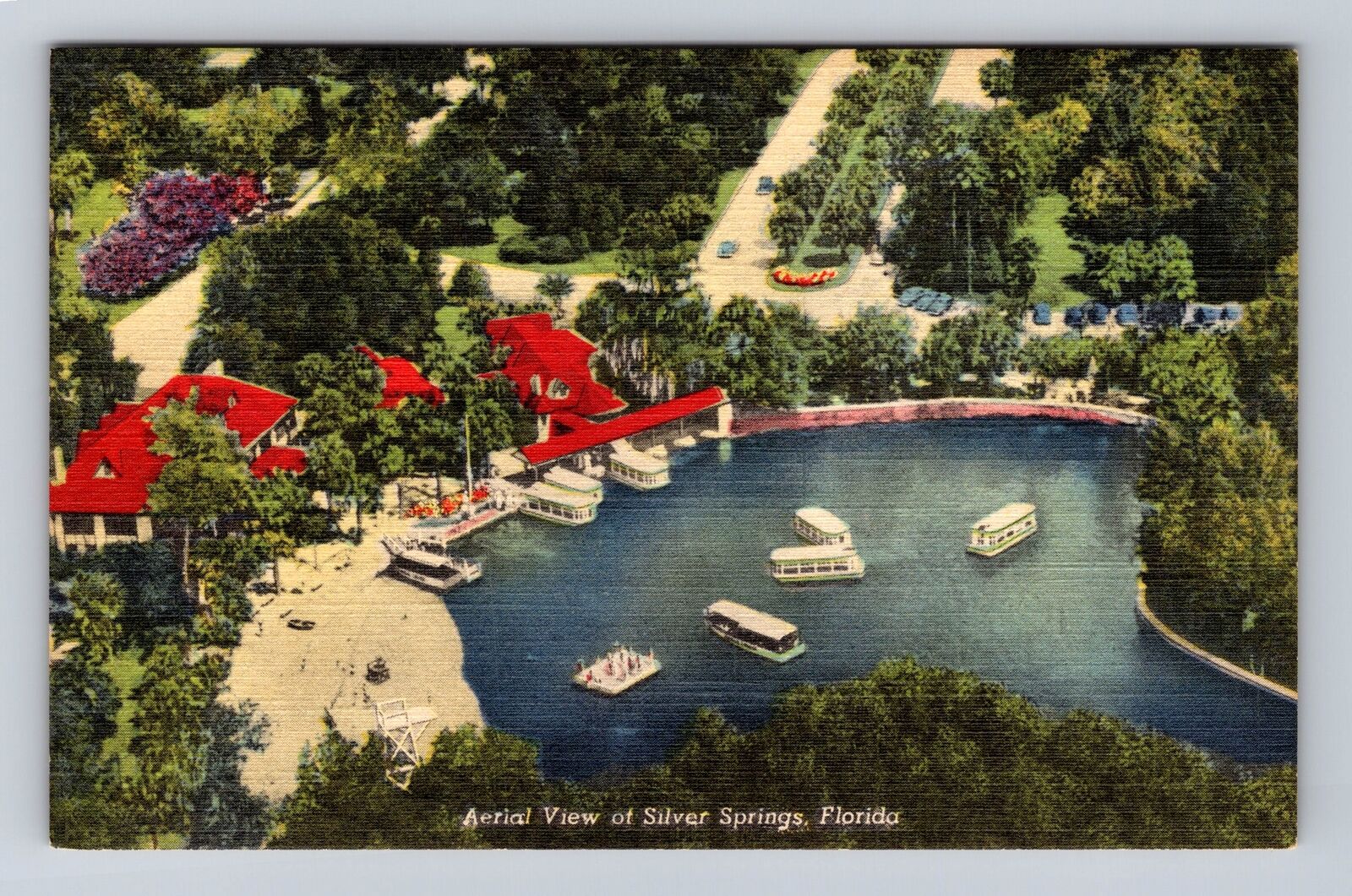 Silver Springs FL-Florida, Aerial View Sight Seeing Boats, Vintage Postcard