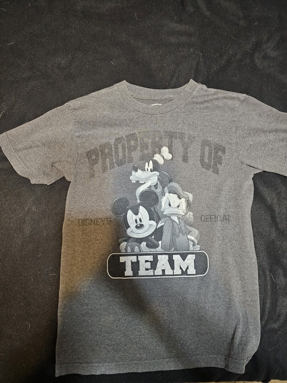 Property of Disney\'s Official Team - T Shirt - S - Grey - Mickey, Goofy, Donald