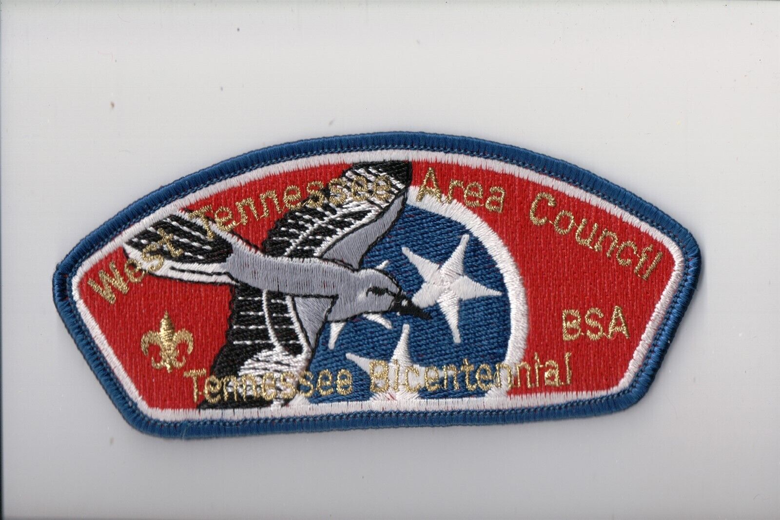 West Tennessee Council CSP (E)
