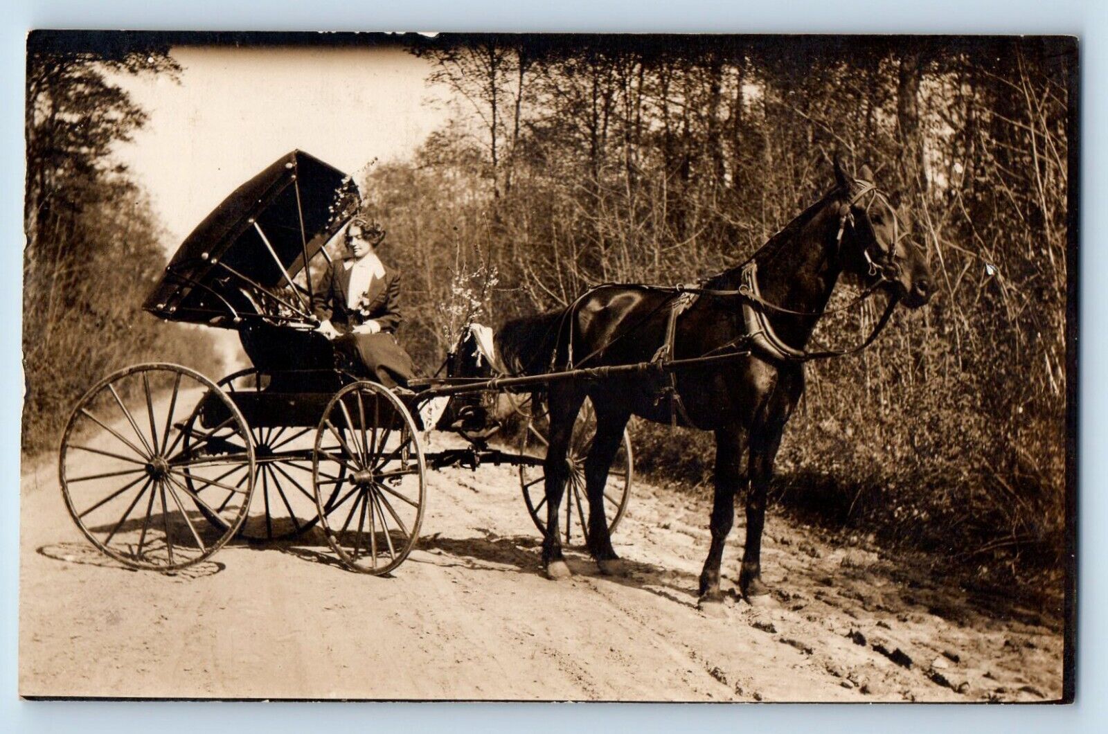 Pretty Woman Postcard RPPC Photo Horse And Buggy Dirt Road c1910's Antique