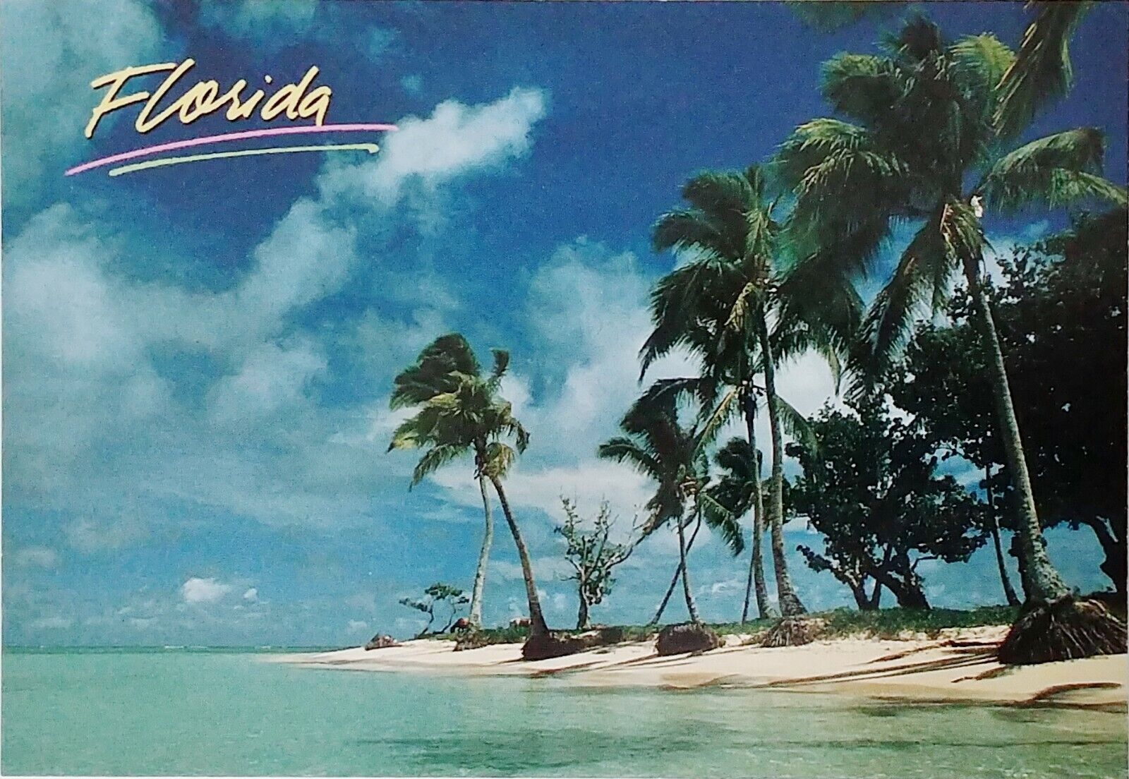 Solitude Isolated Beach Horses in Background Vintage Florida Postcard