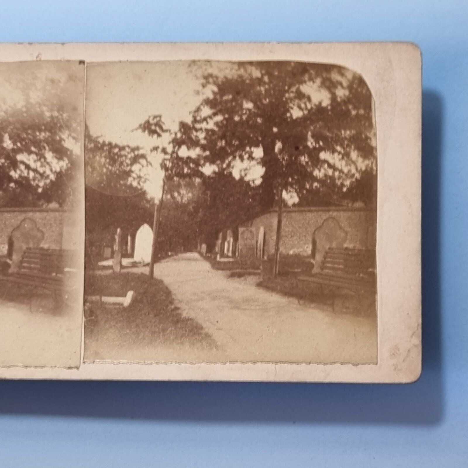 Nottingham Stereoview 3D C1895 Real Photo East Mids The Cemetary Path