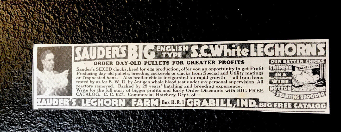 1935 Saunder’s Leghorn - Chicken Farm Advertising - Grabill - Indiana Fort Wayne