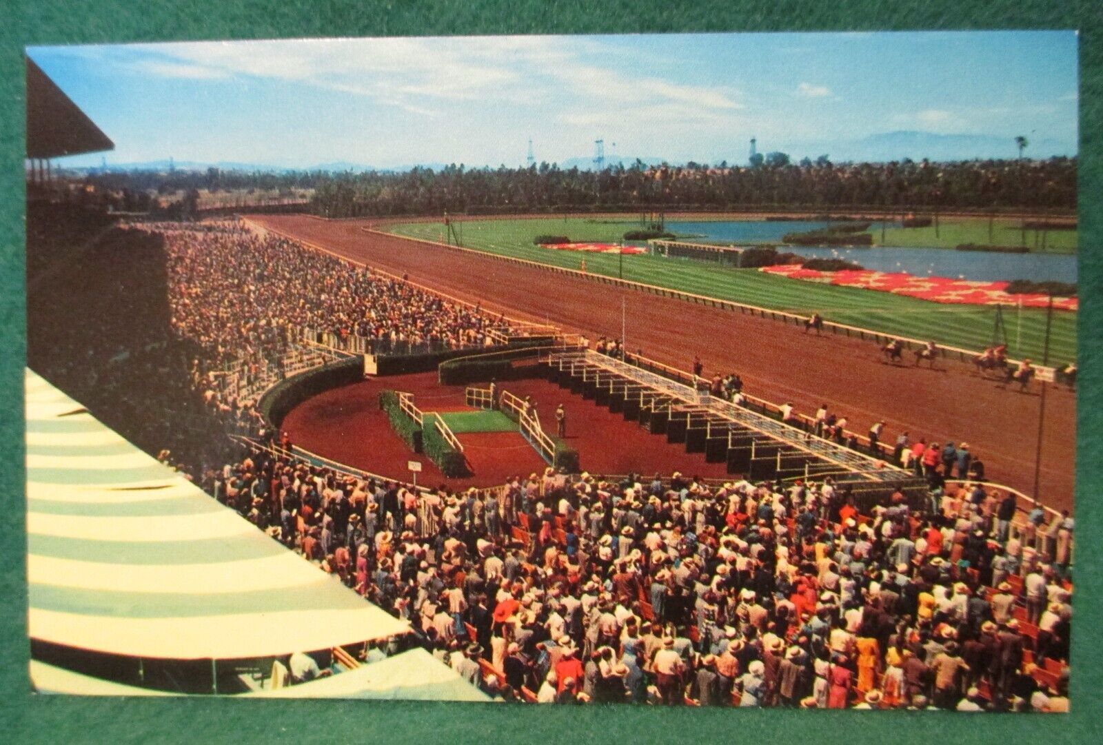 Estate Sale ~ Vintage Postcard - Hollywood Park Racetrack, Inglewood, Calif.
