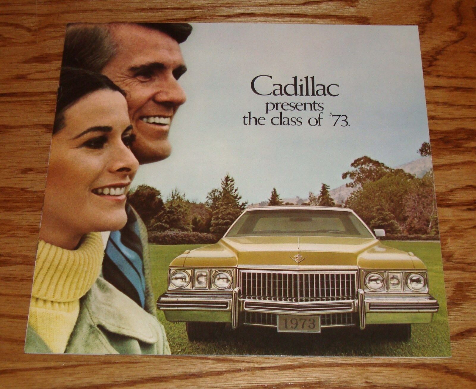 Original 1973 Cadillac Full Line Sales Brochure 73 Fleetwood Eldorado