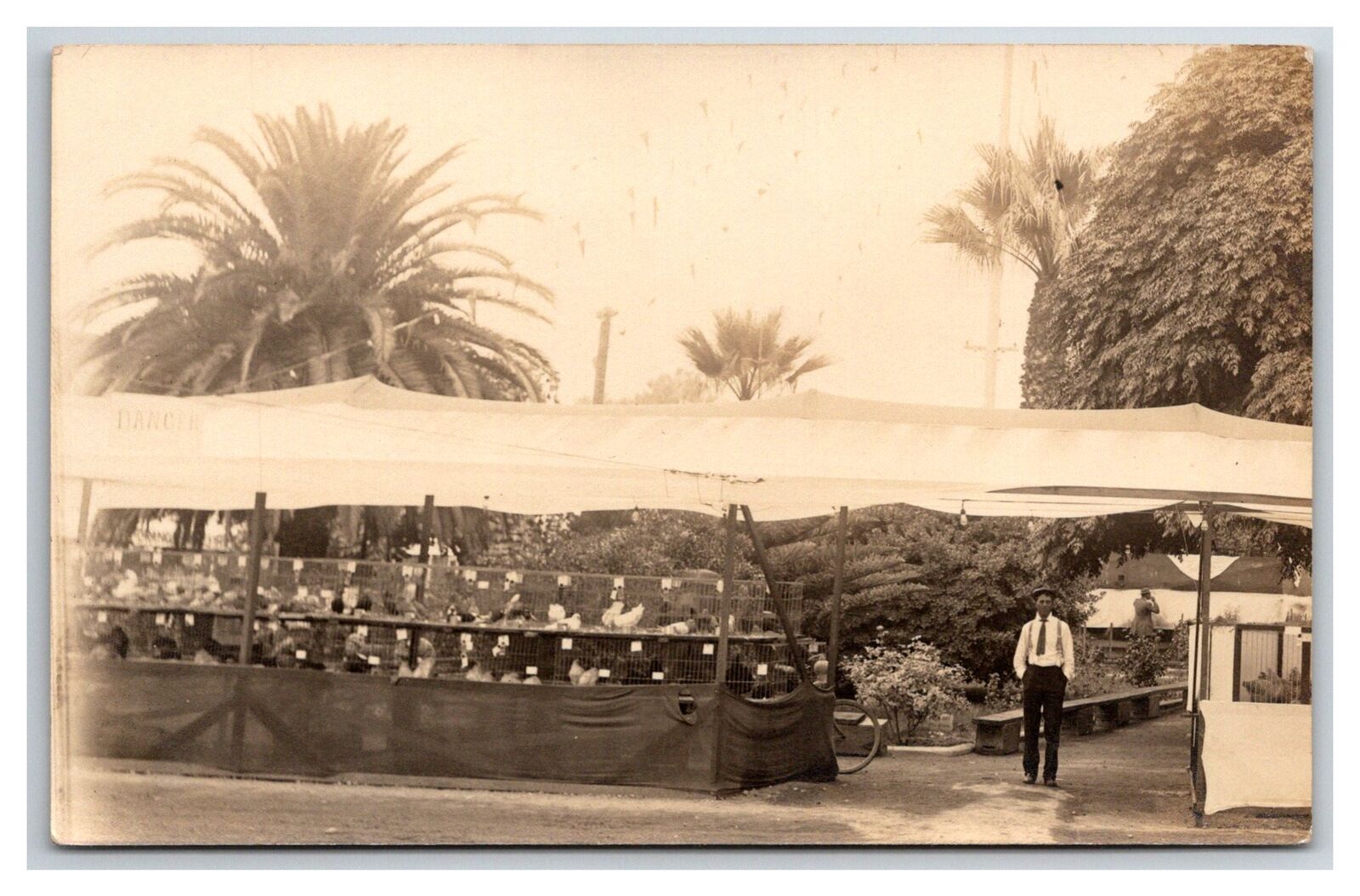 RPPC Poultry Competition ~ State Fair ?  Likely California