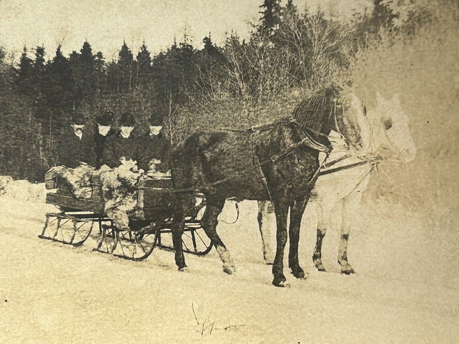 Antique Photo Horses Pulling Family Sleigh Winter Men Women Snow