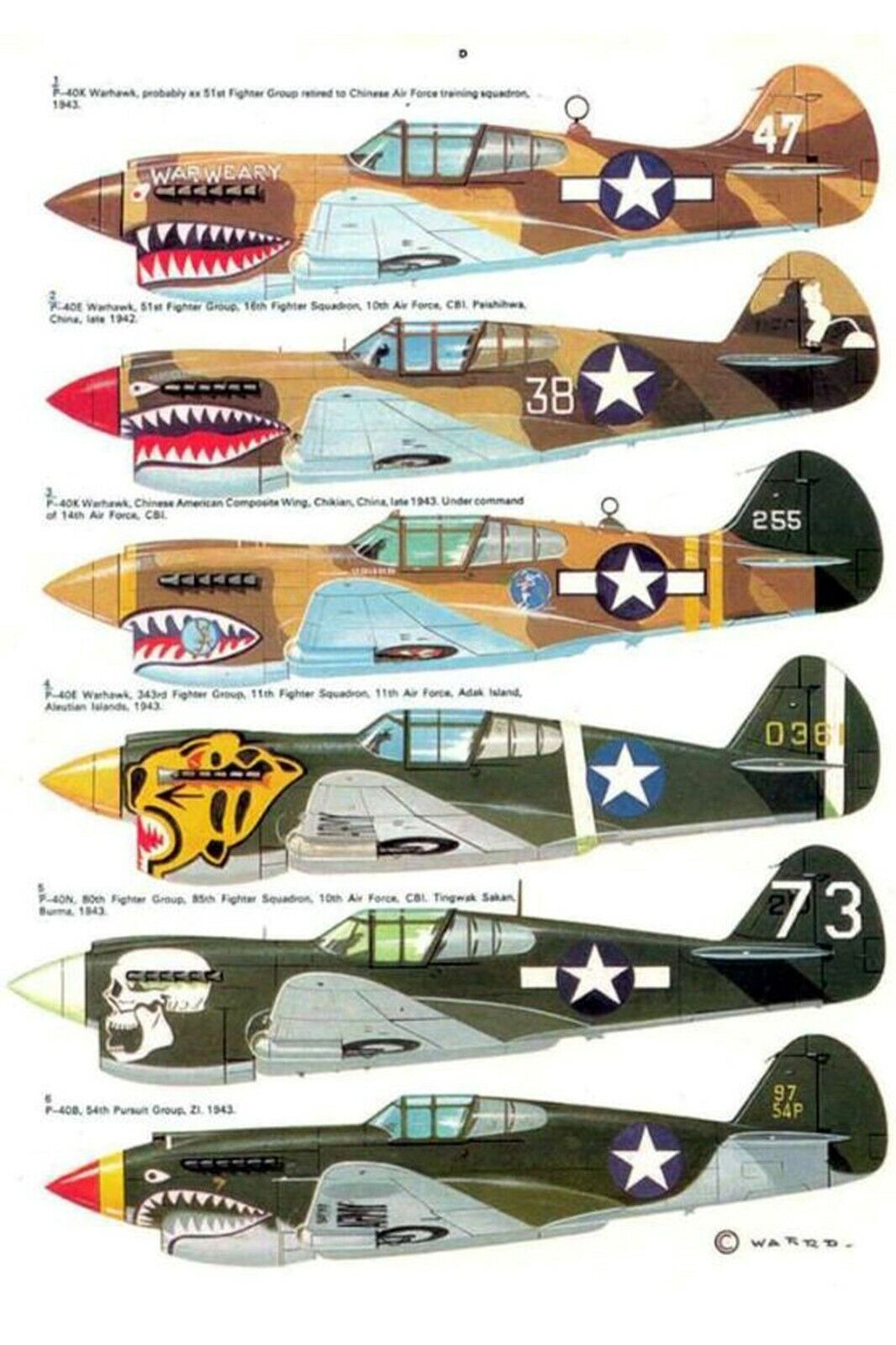 type of color scheme of combat aircraft WW2 Photo Glossy 4*6 in ζ024