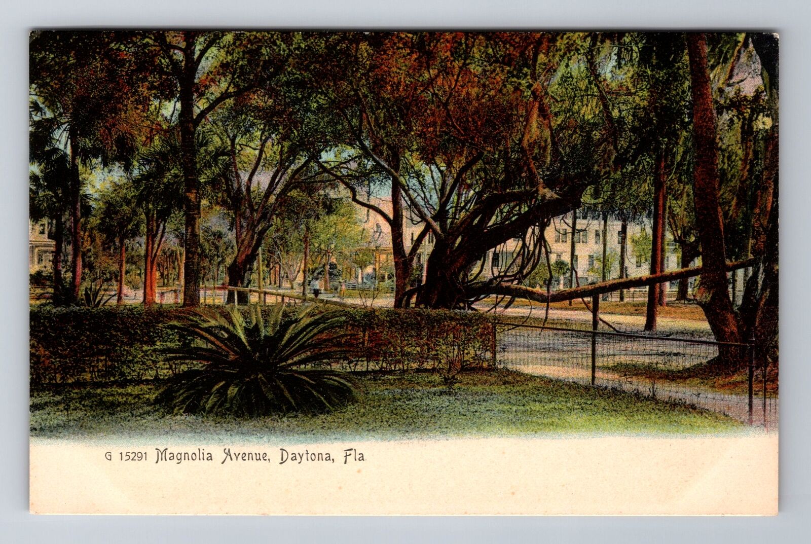 Daytona FL-Florida, Magnolia Avenue, Antique, Vintage Souvenir Postcard