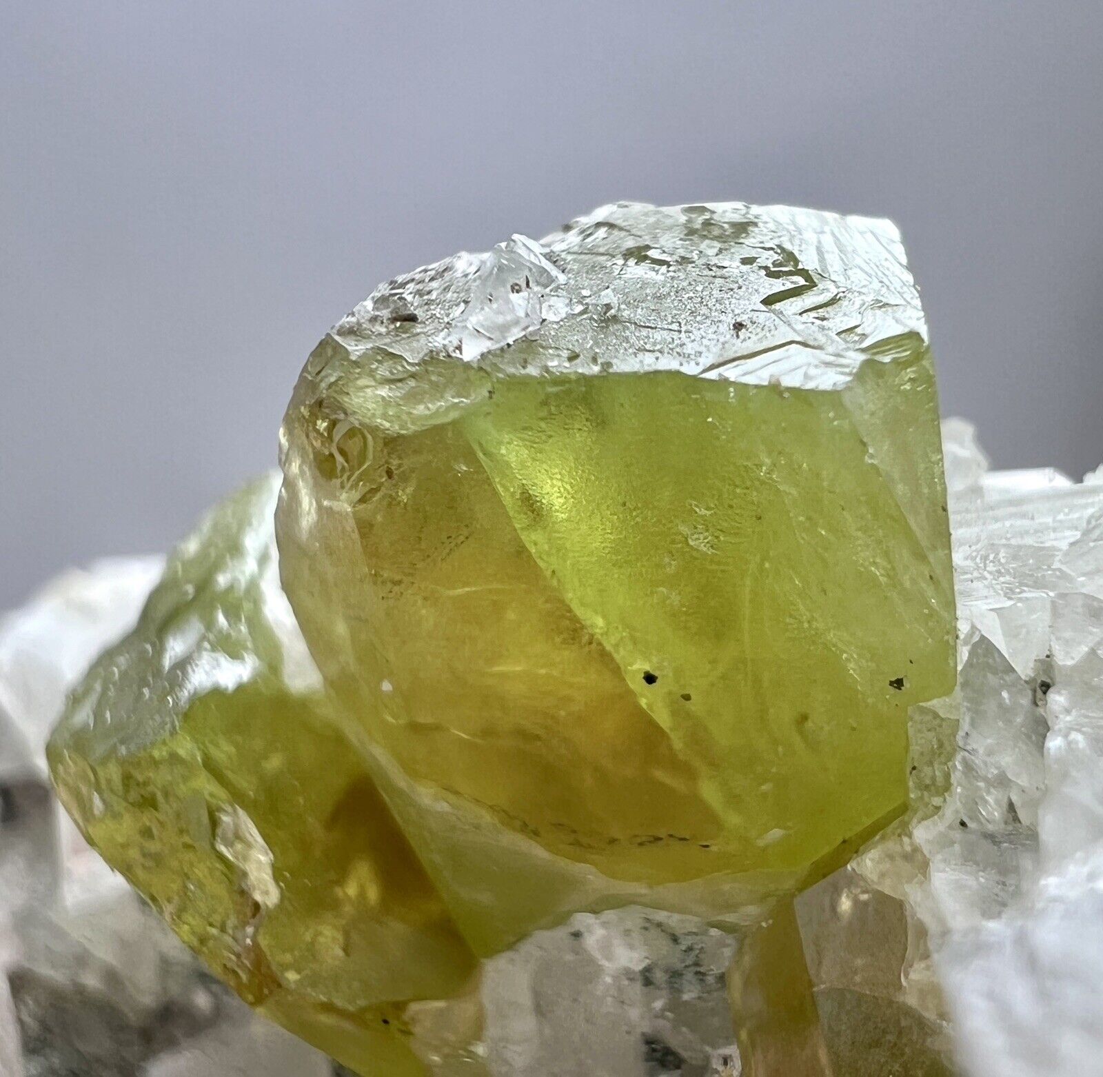 77 Gram Ultra Rare Bi-Color Titanite Sphene Crystals On Matrix From Pakistan