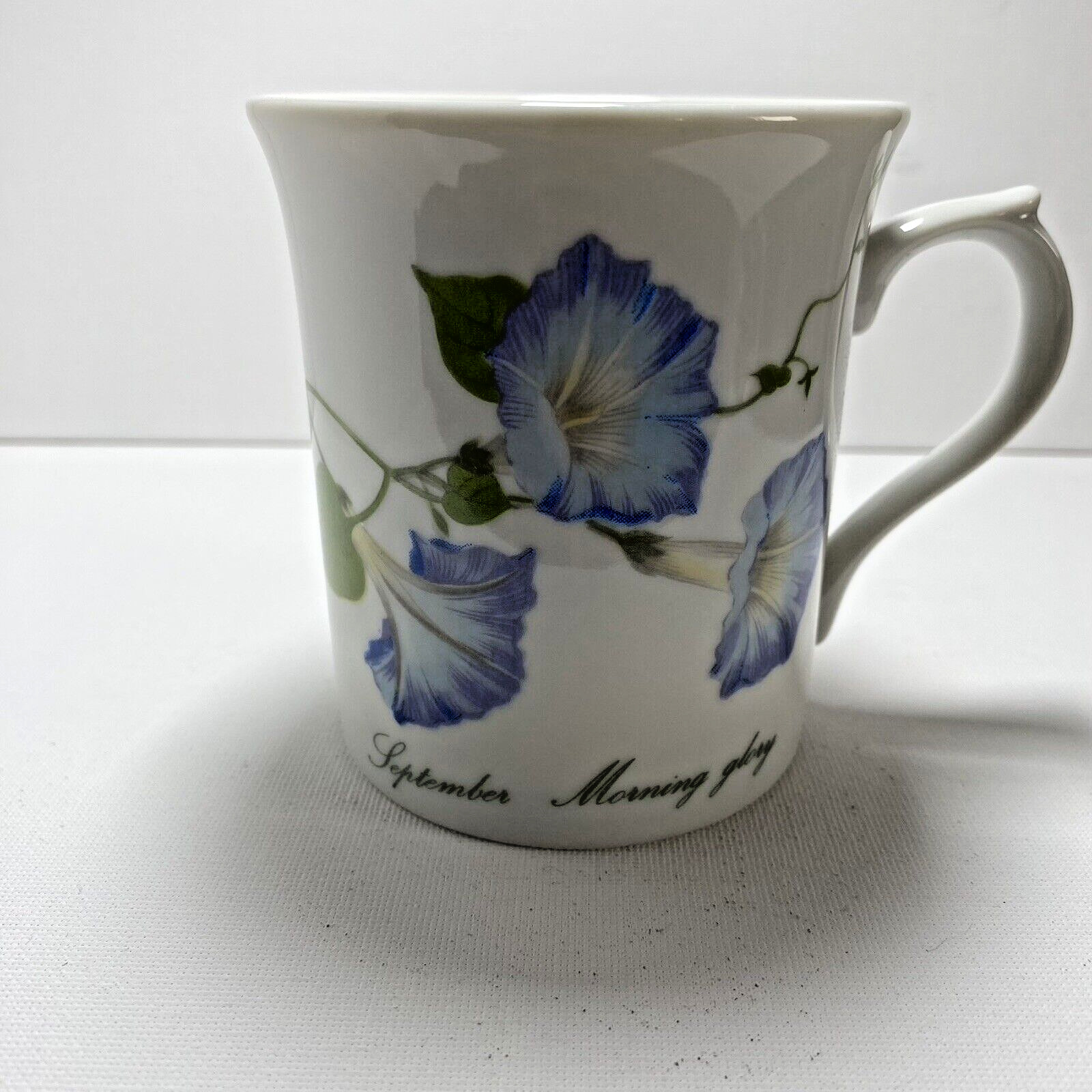 Vintage Toscany Collection Ceramic Coffee Tea Mug,  Morning Glory
