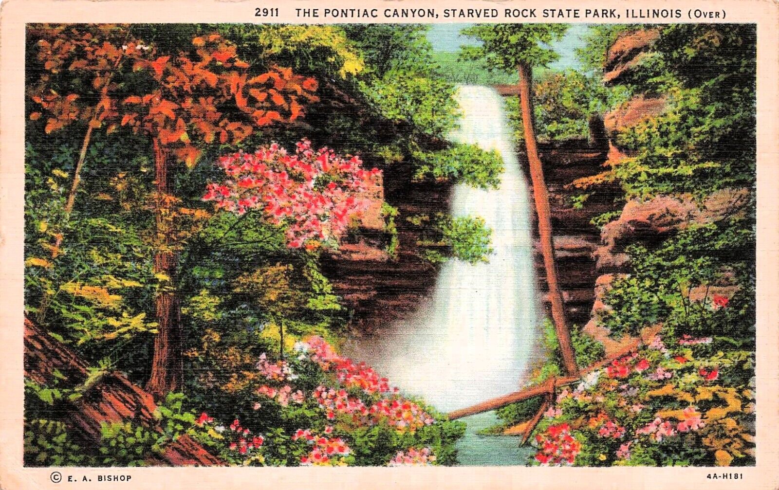 Ottawa IL Illinois Starved Rock State Park Pontiac Canyon Hike Vtg Postcard E37