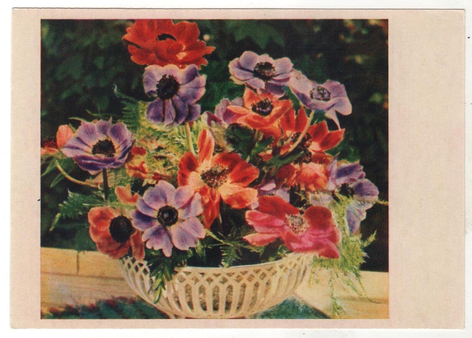 1960 Anemones Flowers in a vase ART Soviet Russian postcard Old