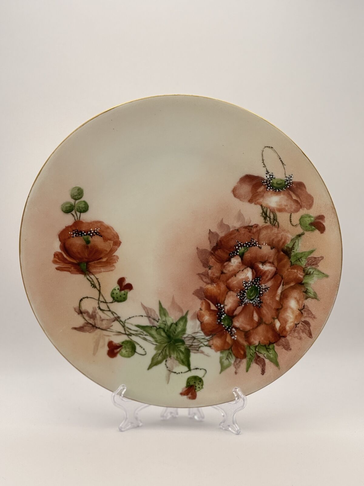 Limoges France Hand-Painted Floral Porcelain Plate with Floral Design