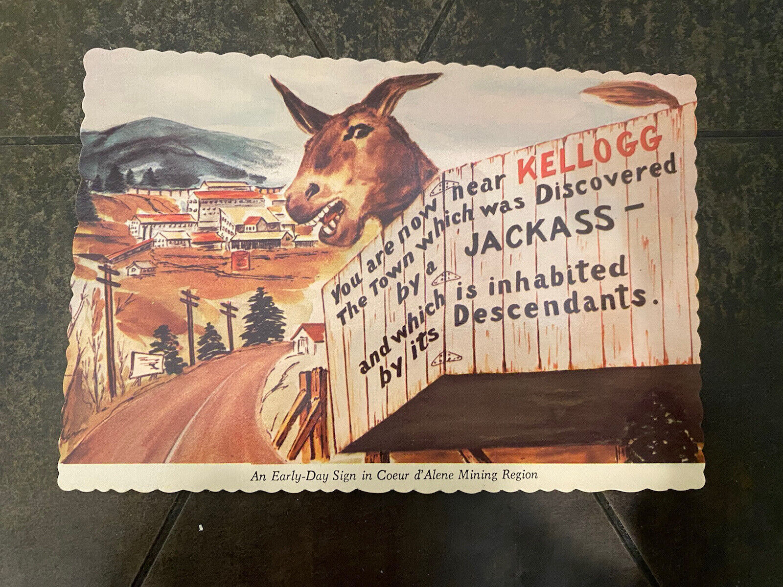 Prospector Noah S Kellogg\'s Pesky Jackass Kellogg Montana  Postcard