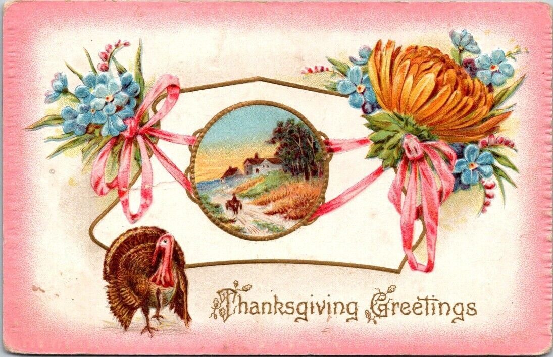 Thanksgiving Turkey Chrysanthemums Pink Border Embossed c1910s postcard BQ2