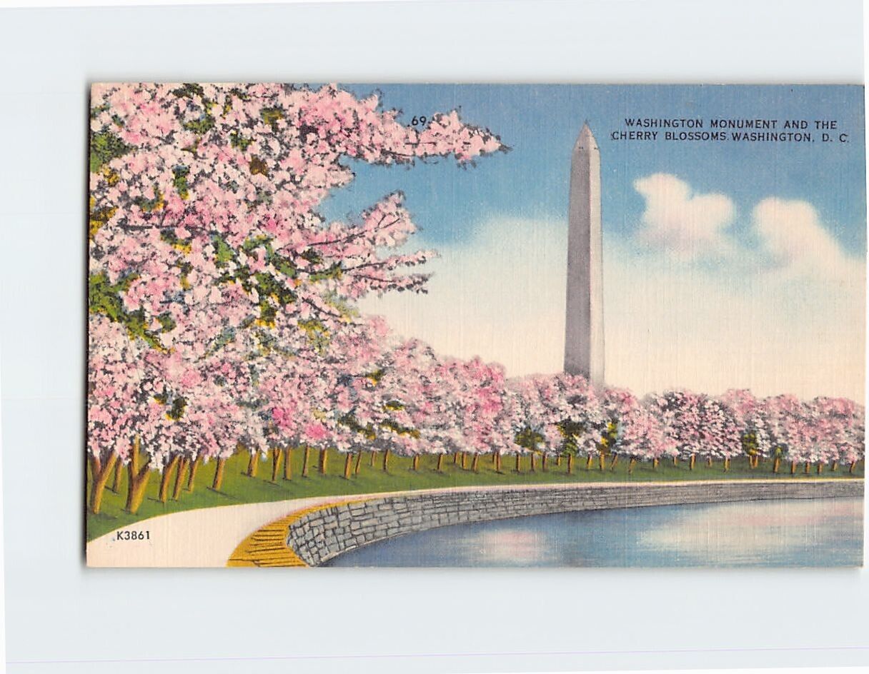 Postcard Washington Monument and the Cherry Blossoms Washington DC