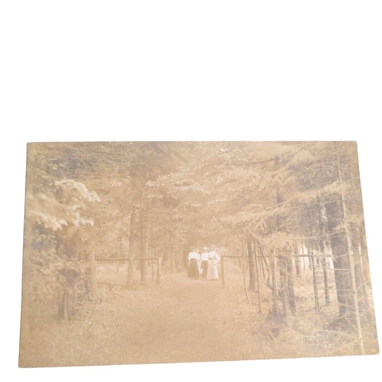 Postcard RPPC People Standing In Woods Roadway Trees Vintage Unposted