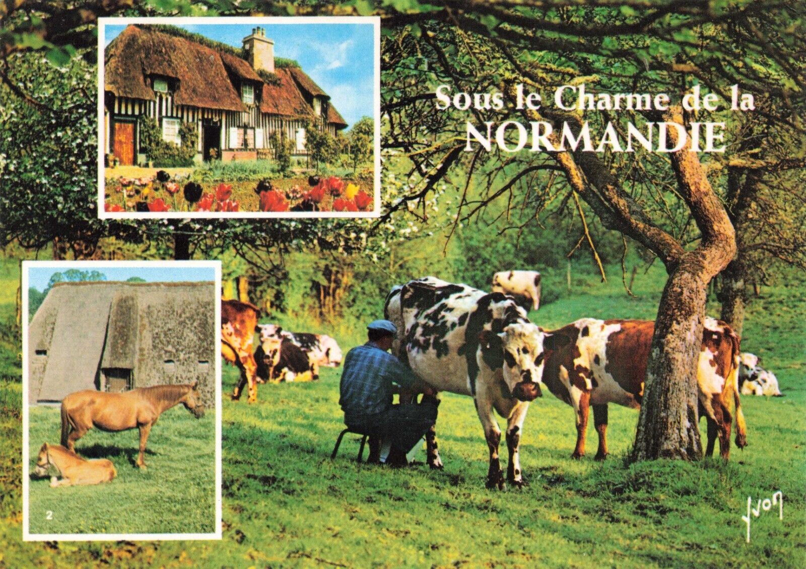 Postcard France Normandy Cows Horses Village Charming Field Multiview