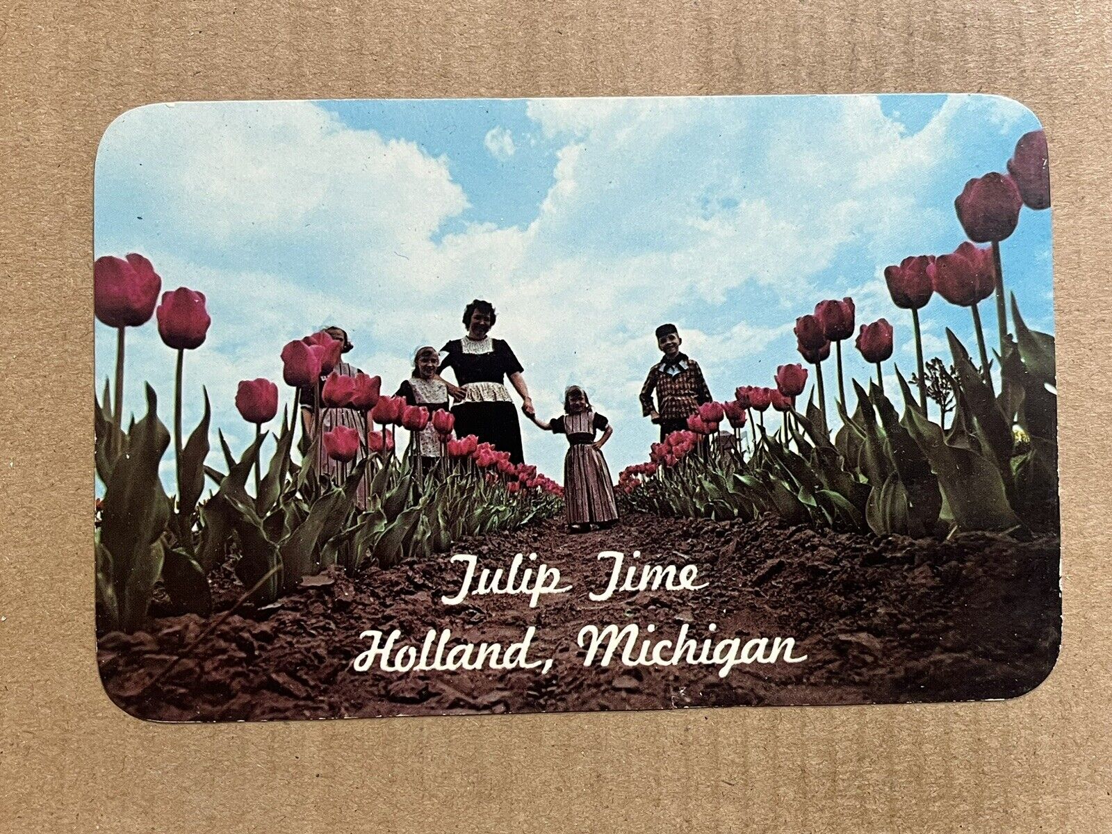 Postcard Holland MI Michigan Tulip Time Farm Dutch Children Veldheer’s Gardens