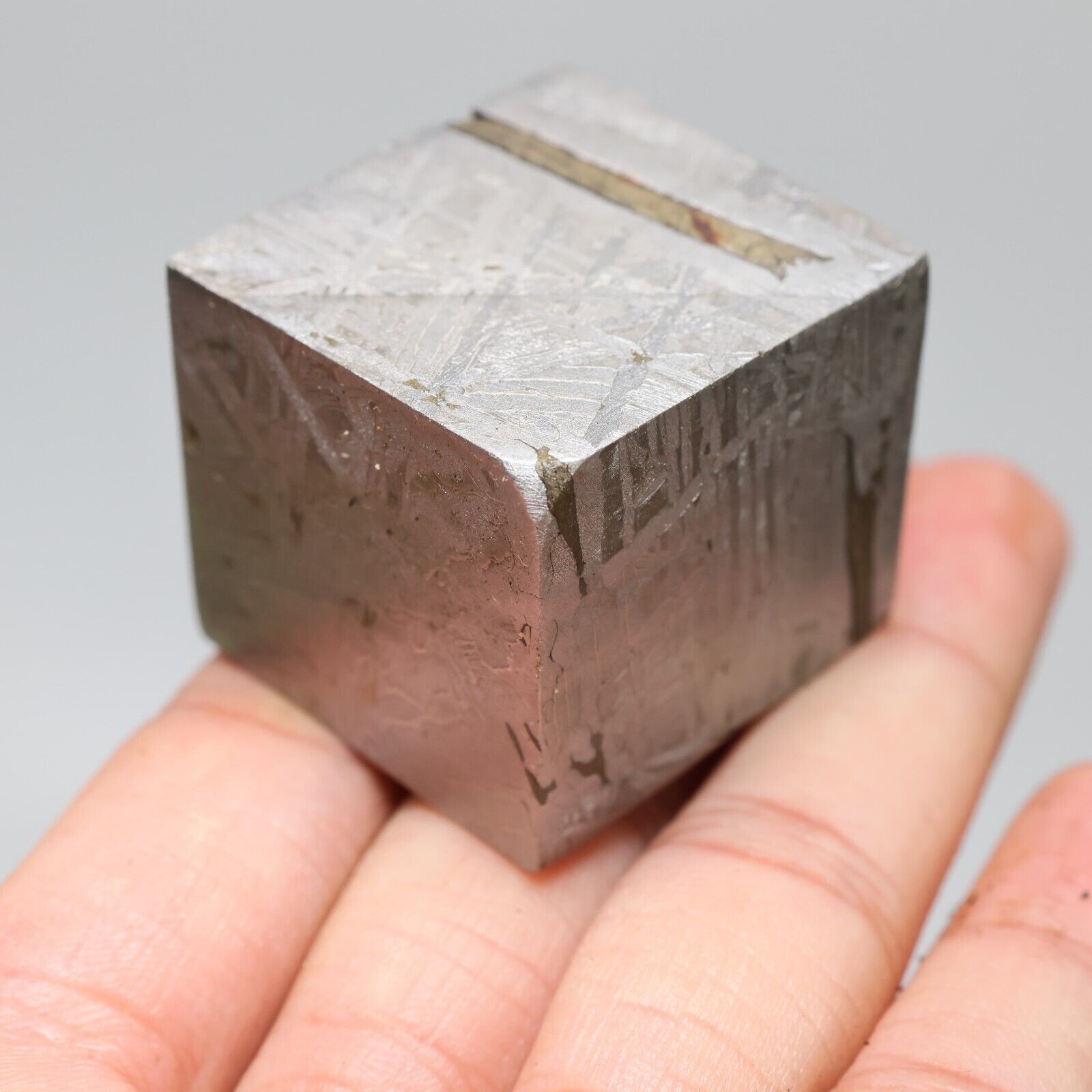 194g Muonionalusta meteorite part slice  A1961