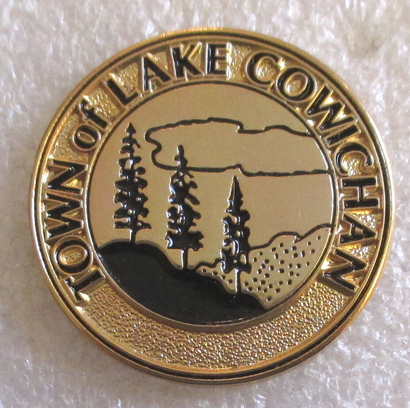 Town of Lake Cowichan - Vancouver Island BC Canada Tourist Travel Souvenir Pin