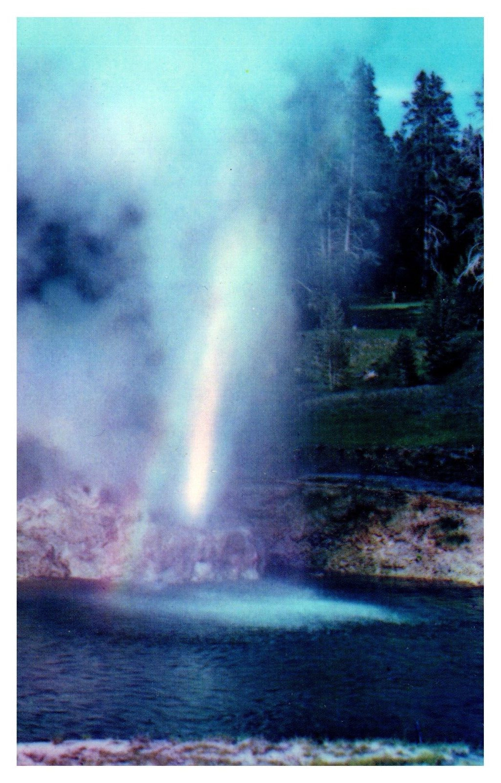 Yellowstone National Park WY Wyoming Riverside Geyser P541 Chrome Postcard