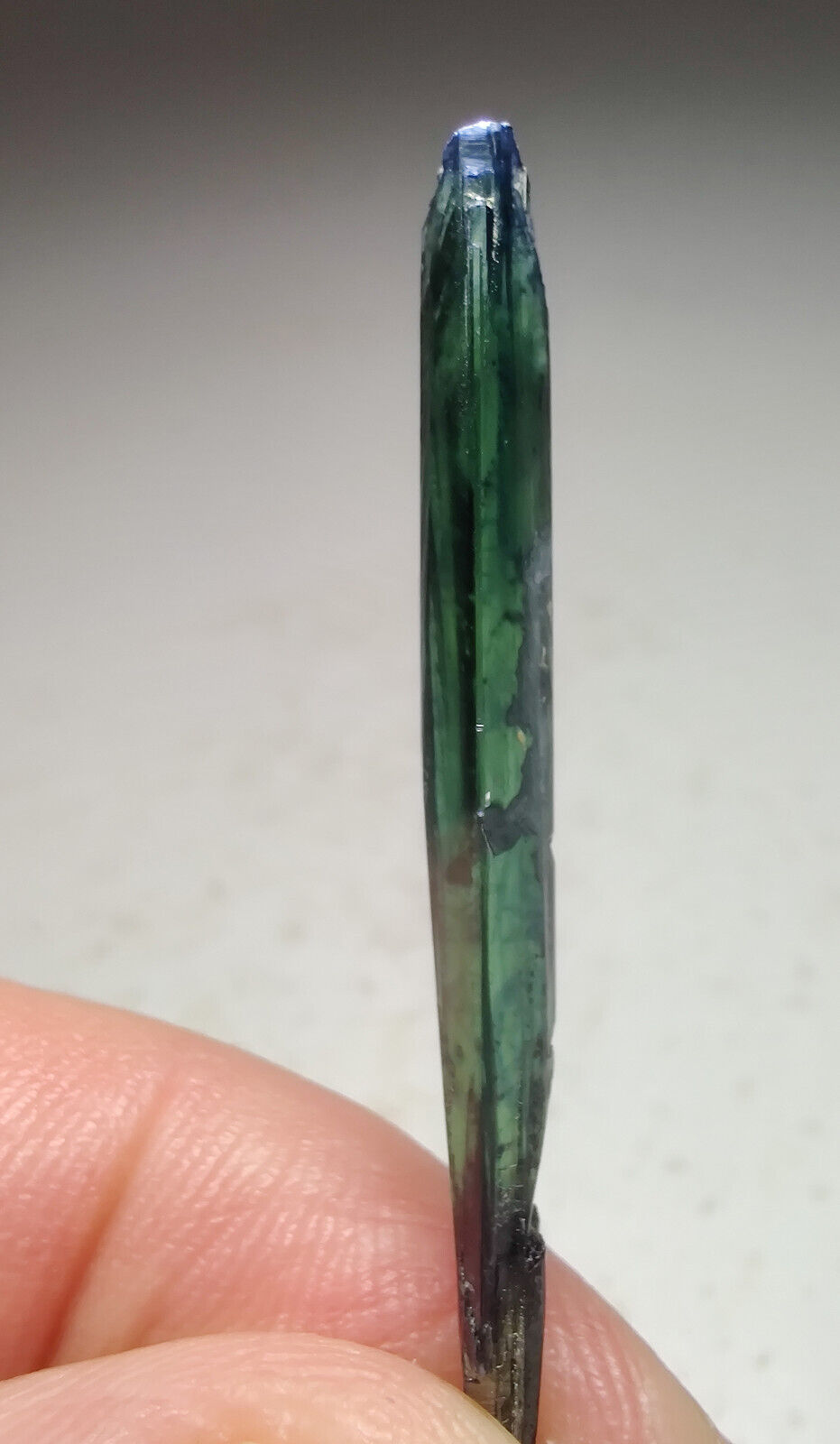 Vivianite crystal. From Amazonas, Brazil. 5 cm.