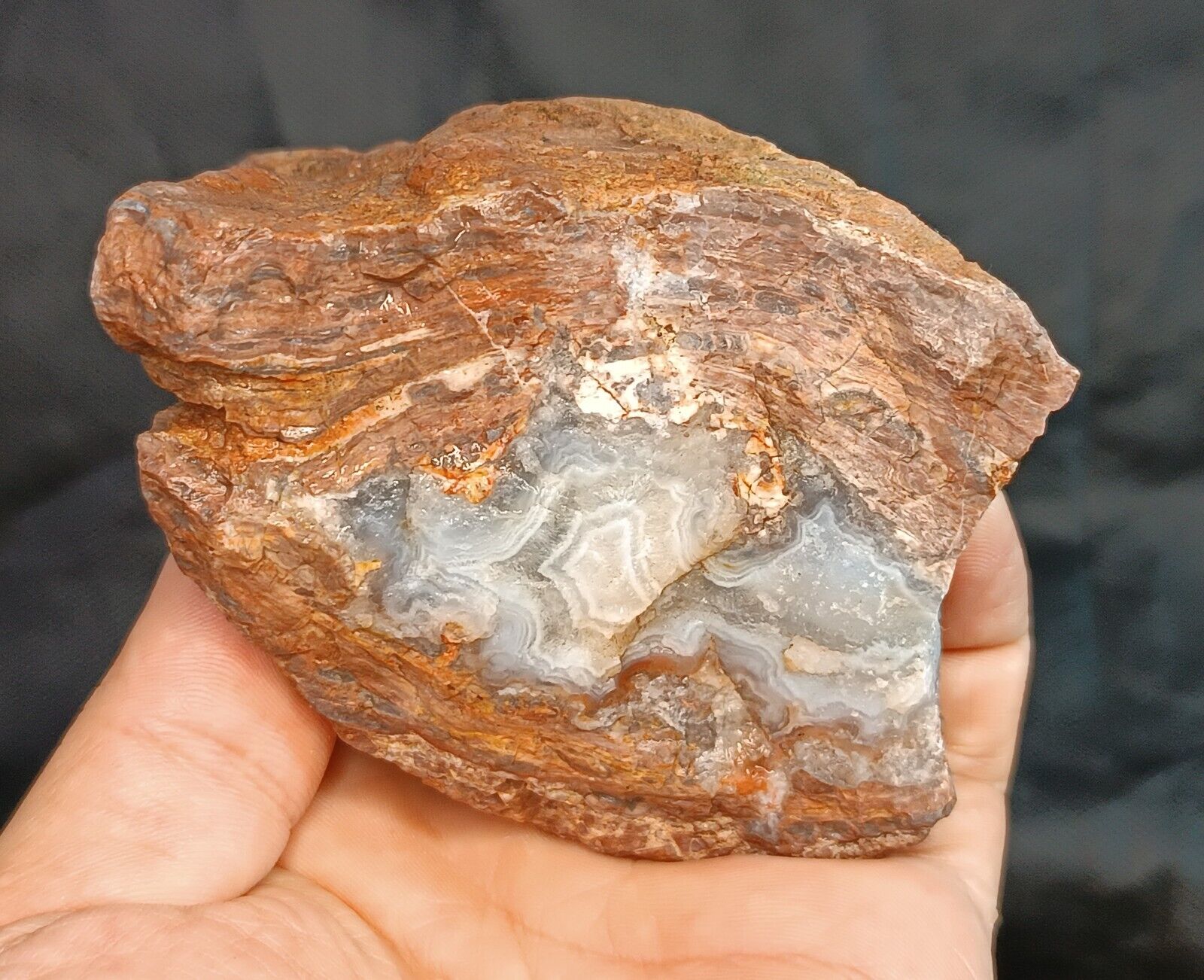 490g/1.08 lb uncut turkish banded agate stone rough,gemstone,rock,specimen
