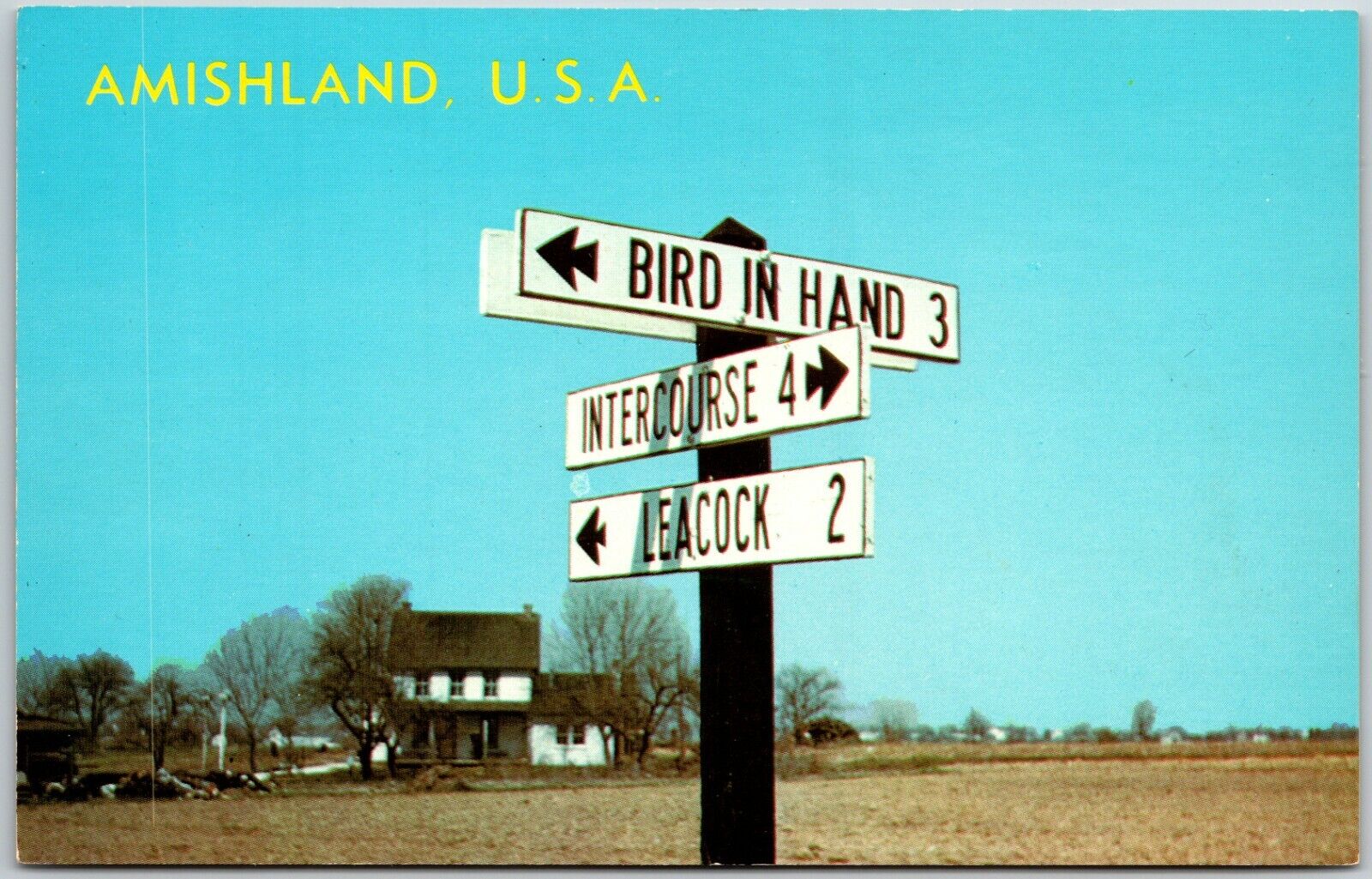 Amishland, U.S.A., Road Signs - Postcard