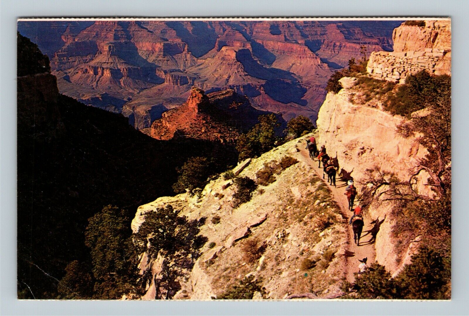 Grand Canyon National Park AZ, By Mule Train, Arizona c1975 Vintage Postcard