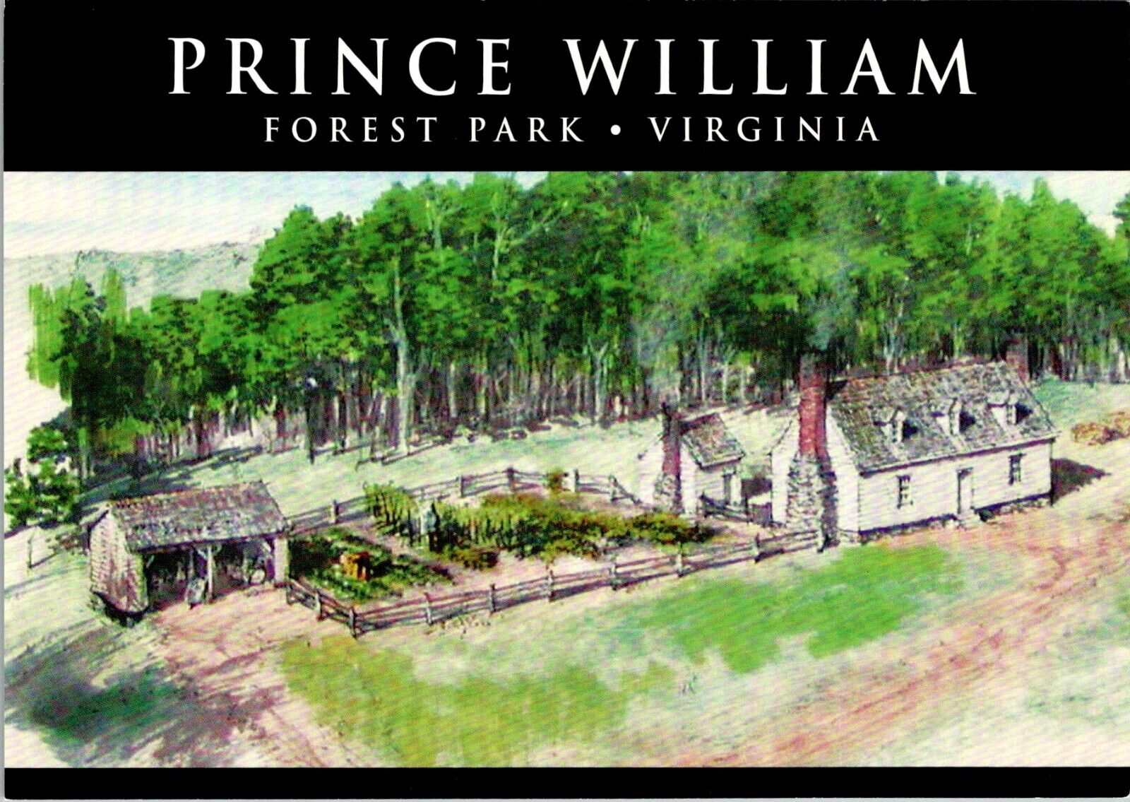 Prince William Forest Park Virginia Luke Cannon Plantation painting postcard