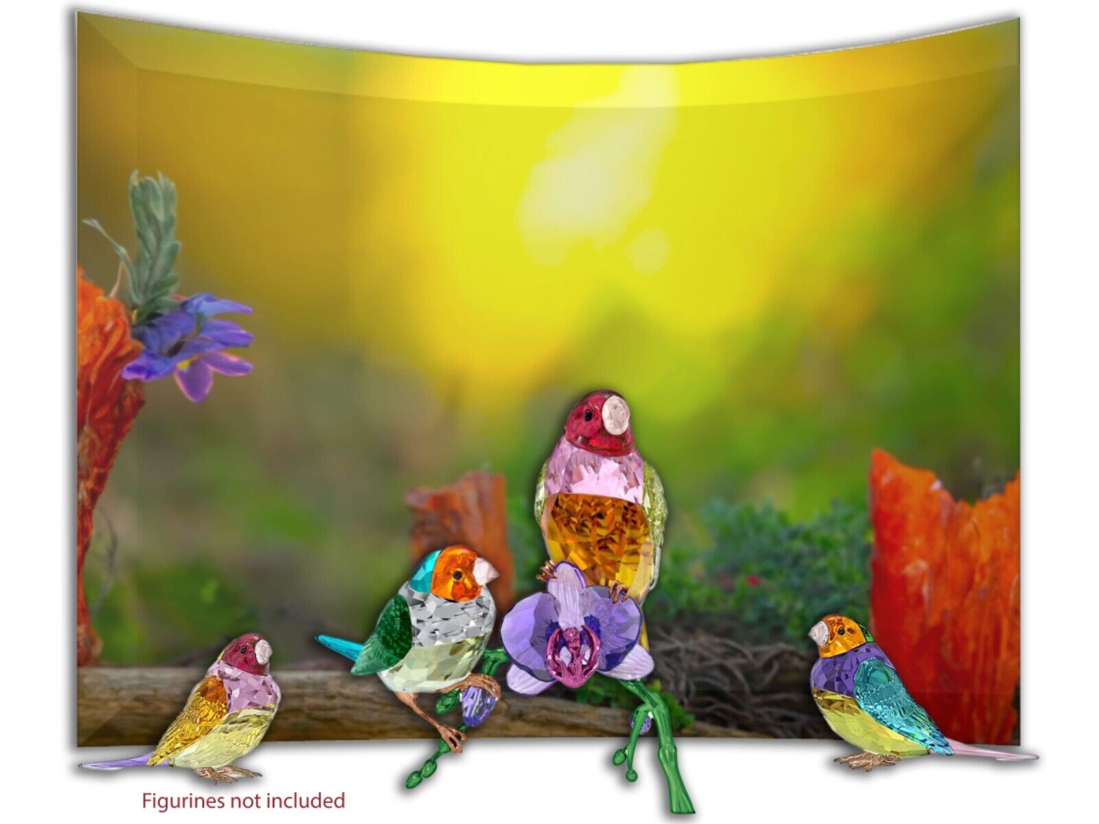 Swarovski SCS Idyllia Gouldian Finch bird Crystal Display Pre-order