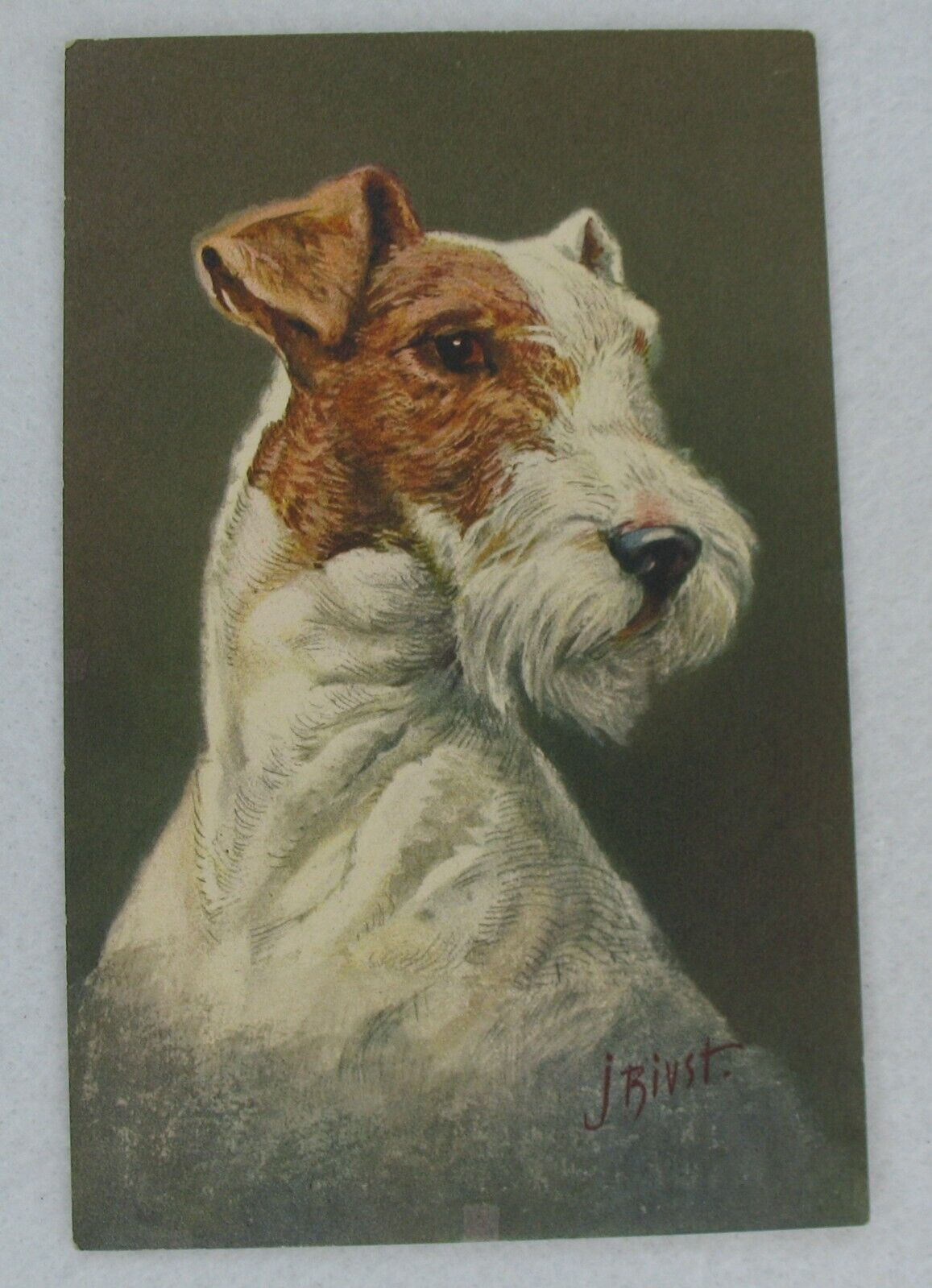 Stehli no. 99 Fox Terrier Dog Postcard Artwork by J. Rivst Switzerland Stahli