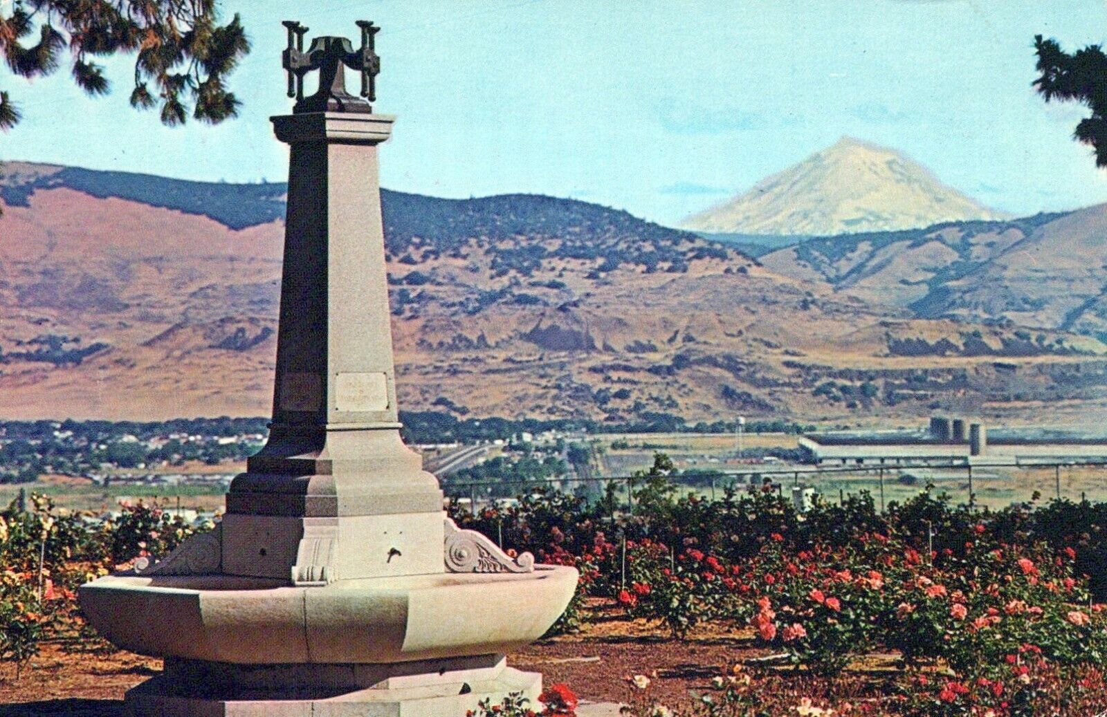 Vogt Fountain And Rose Gardens Mt Adams Sorosis Park Chrome Vintage Postcard