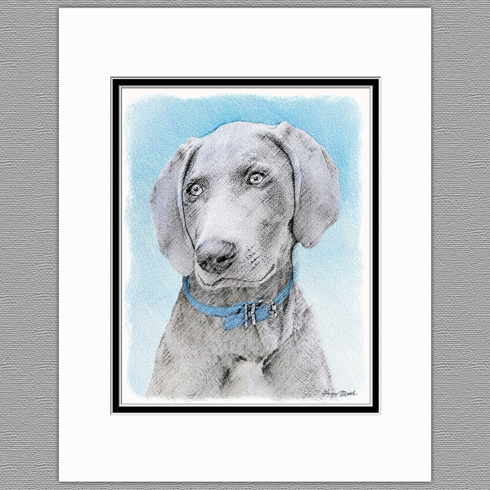 Weimaraner Dog Original Art Print 8x10 Matted to 11x14