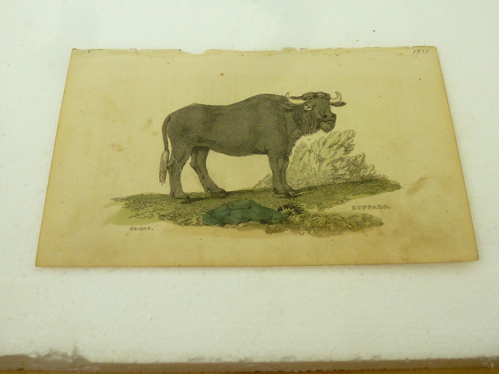 Antique Hand Colored Book Plate Buffalo 1811 PL-105