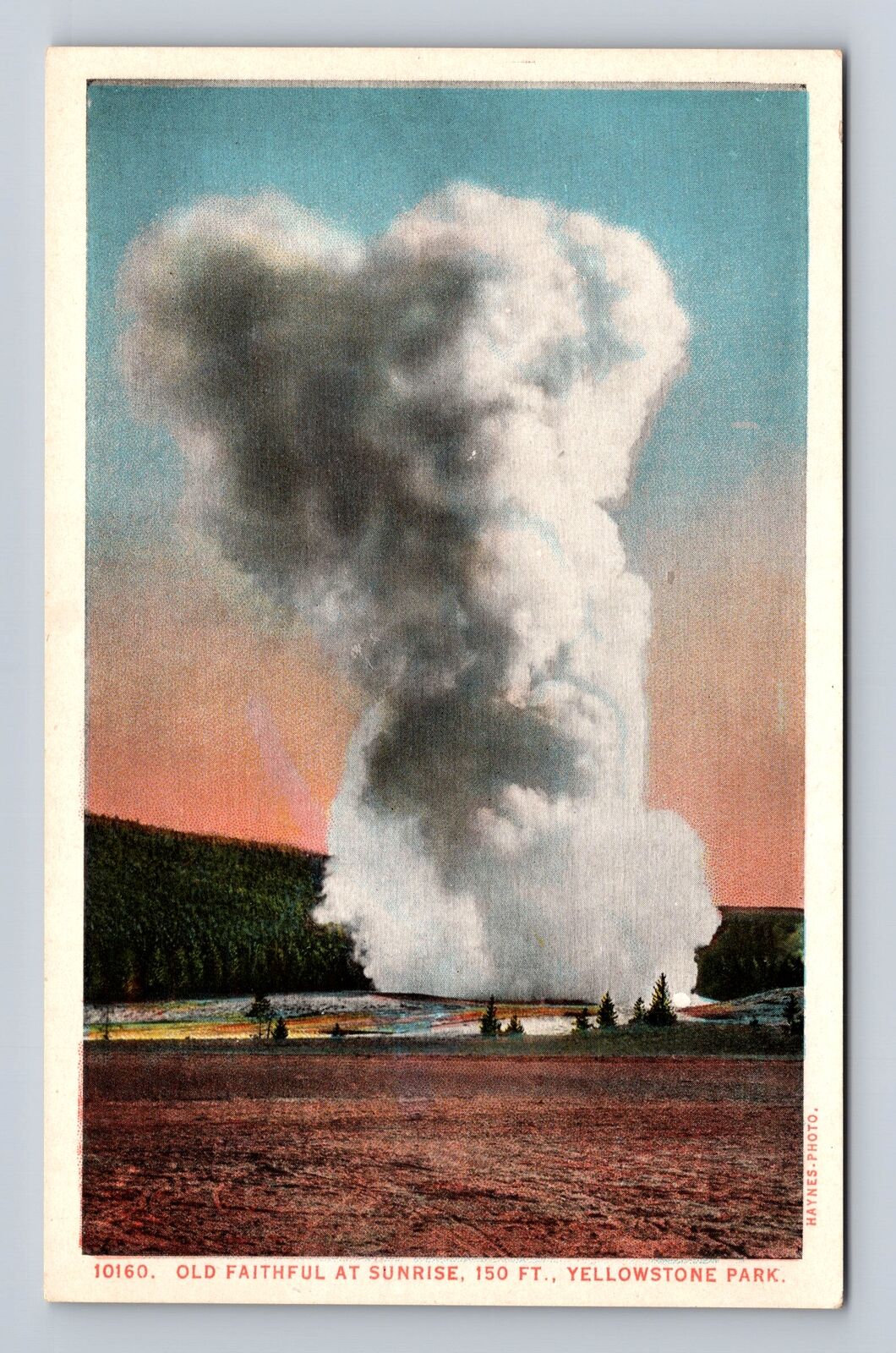 Yellowstone National Park-Old Faithful At Sunrise, Antique, Vintage Postcard