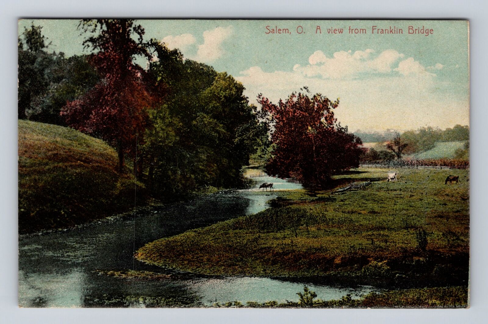 Salem OH-Ohio, General Scenic Views River and Deer, Antique Vintage Postcard