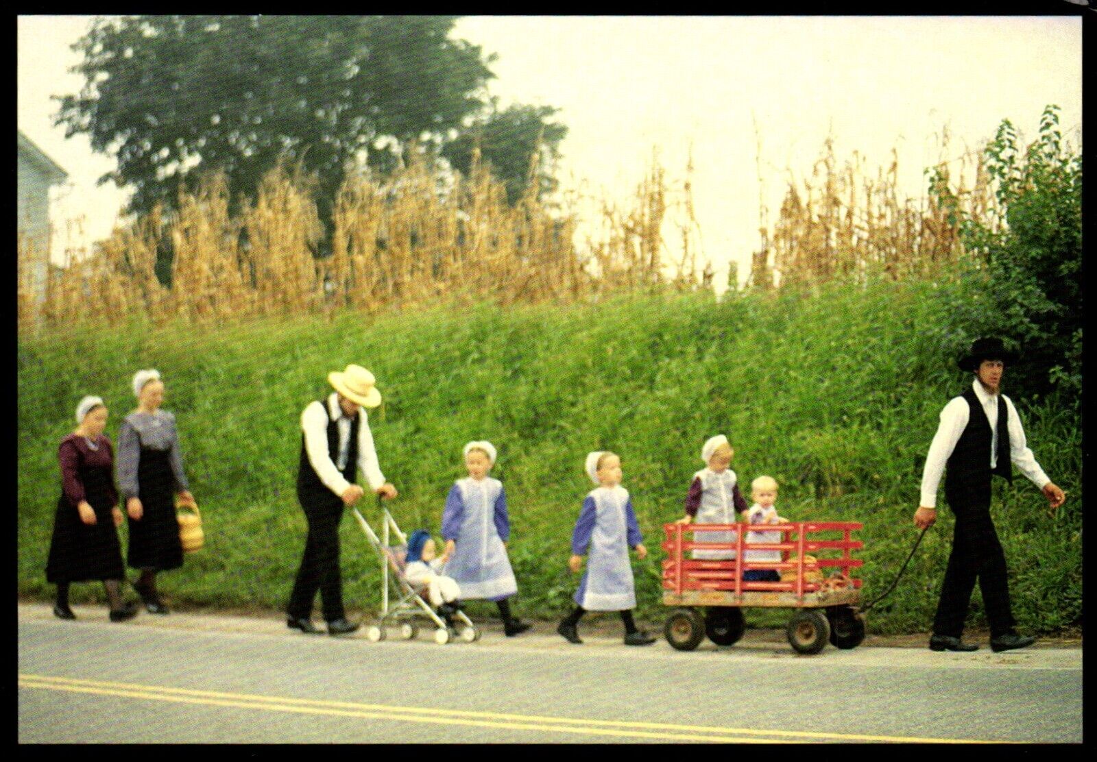 Two Young Families Walk To Church Amish Seasons Pennsylvania Postcard