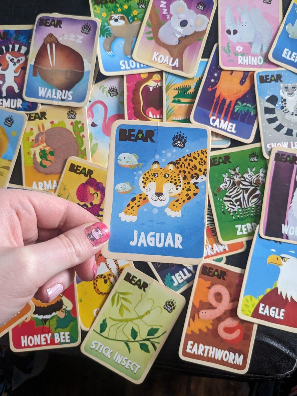 Collectible Animal Cards from BEAR Fruit Rolls