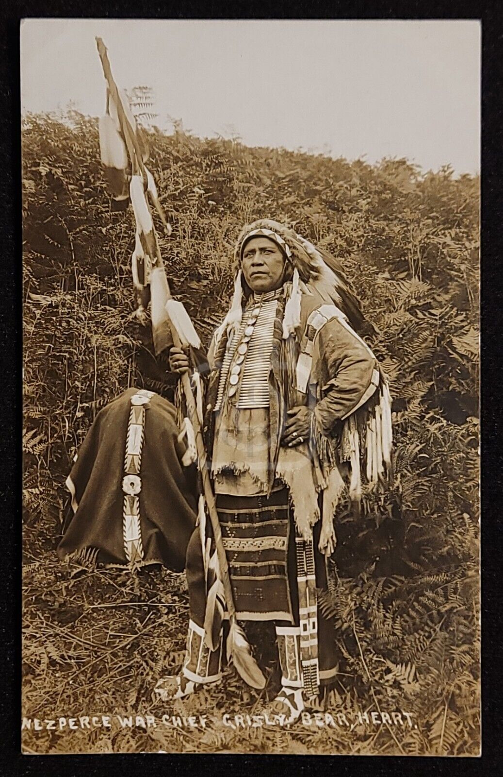 Rare RPPC Nez Perce War Chief Grisly Bear Heart. Washington. C 1910\'s 
