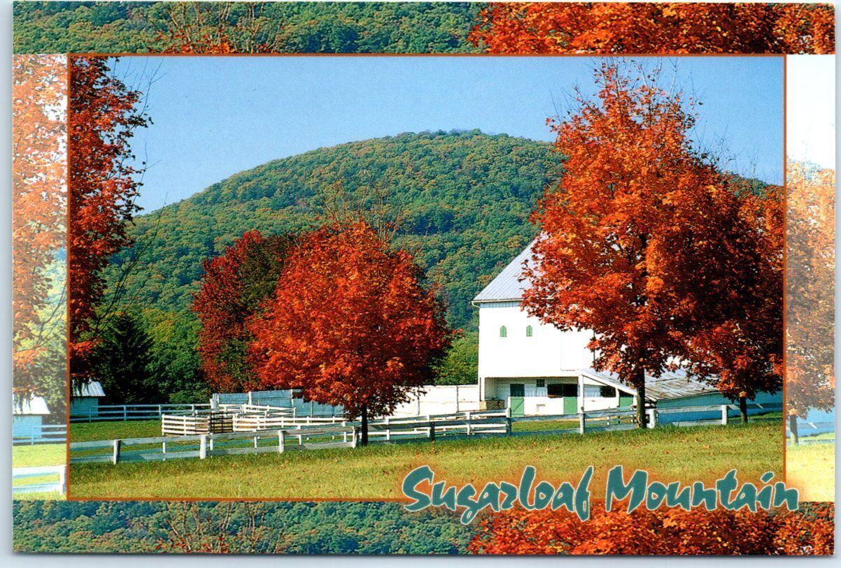 Postcard - Sugarloaf Mountain - Frederick, Maryland