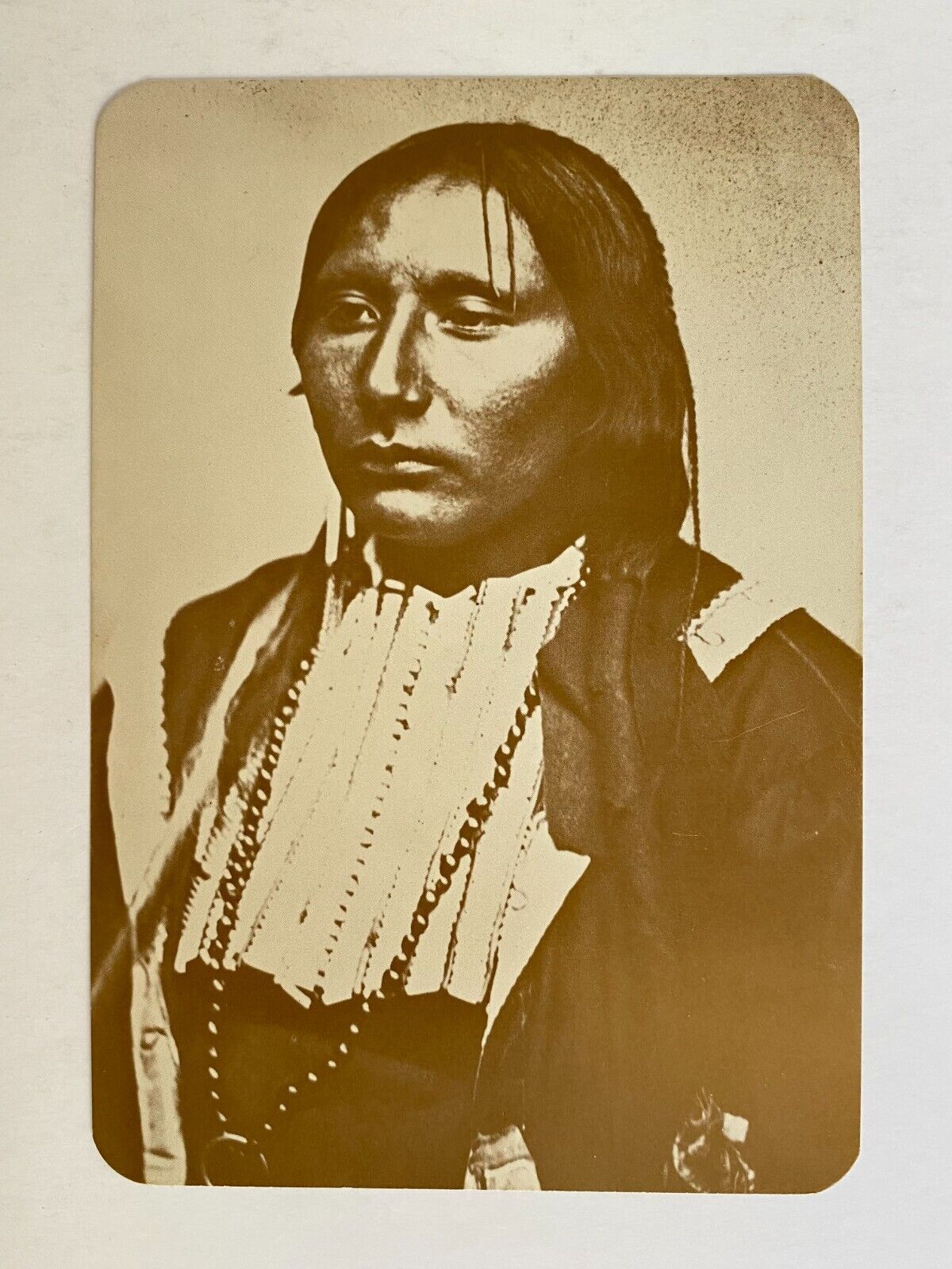 Big Tree Kiowa Chief Old West Collectors Series Postcard Reprint