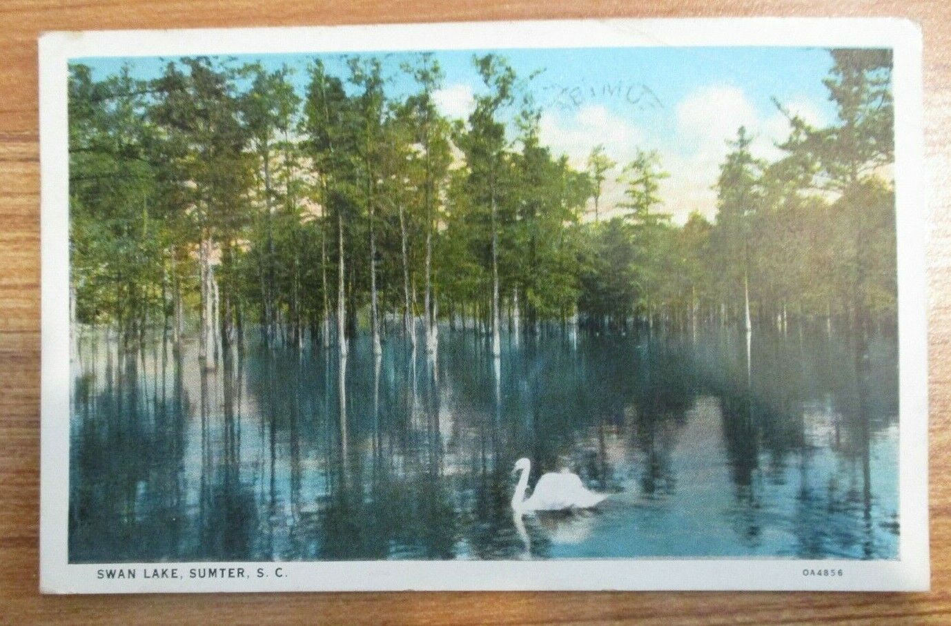 Swan Lake , Sumter S.C. - Post card 