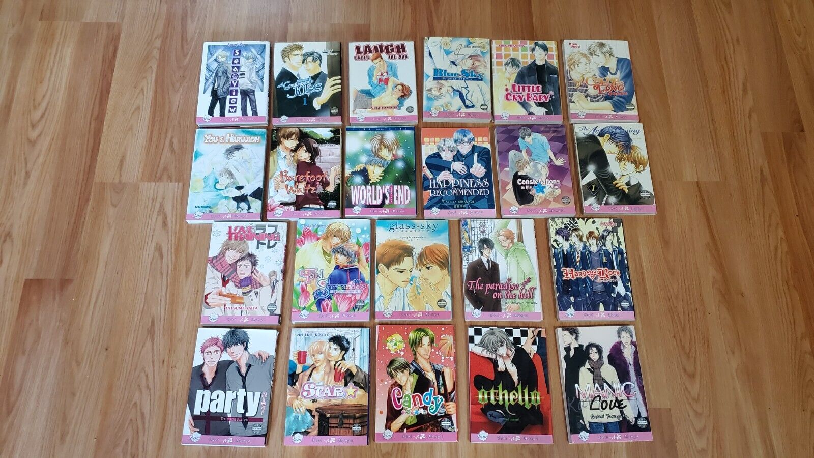 LARGE June Manga Lot 22 Books Yaoi Boy Gay Romance Love Single Volume 1 Comic