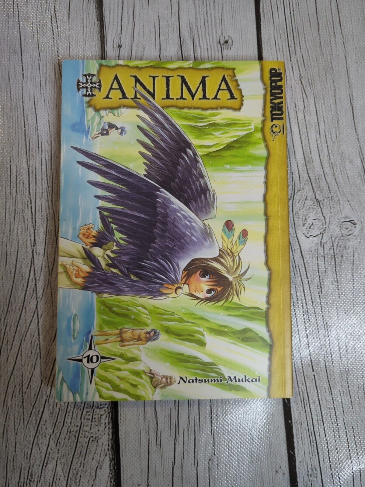 ANIMA VOLUME 10  (Tokyopop 2008 Manga TP GN SC +Anima FINAL ~ Natsumi Mukai)
