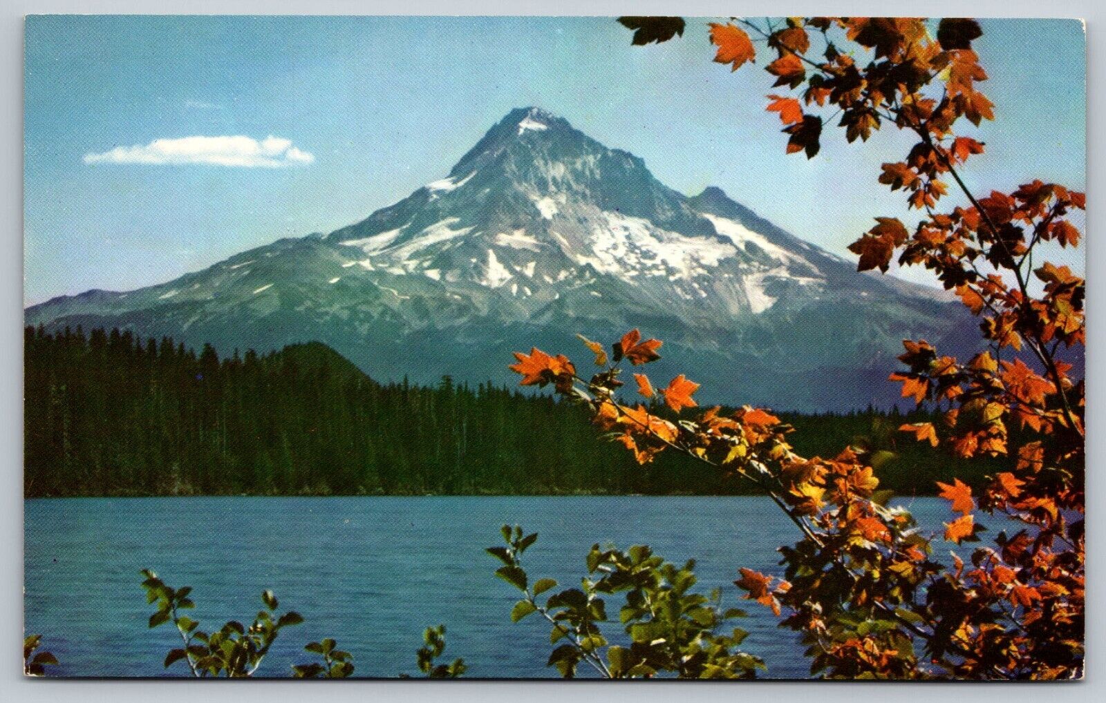 Mt. Hood Scenic View Snowcapped Oregon OR Vintage Postcard