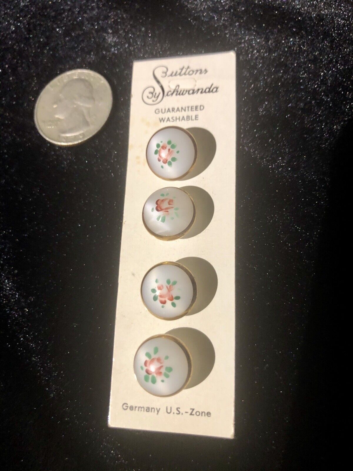 Handpainted Buttons U S Zone-Germany On Card Rothchilds Ithaca Ny